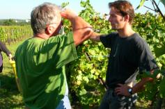 Domaine Paul Zinck in Eguisheim