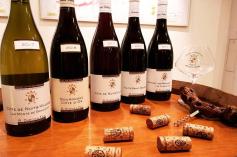 Domaine Dubois in Premeaux