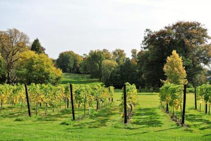 Wijnhuis Ardennen
