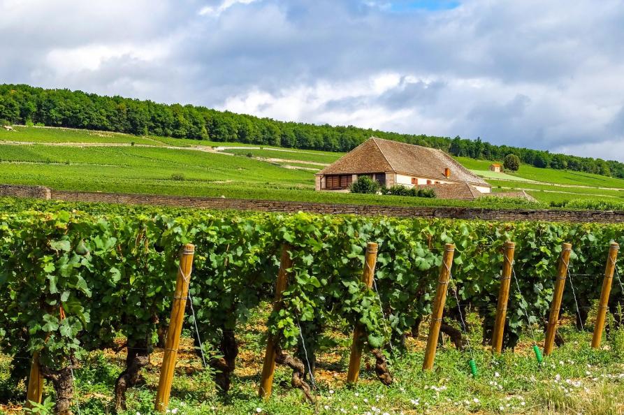 bourgogne