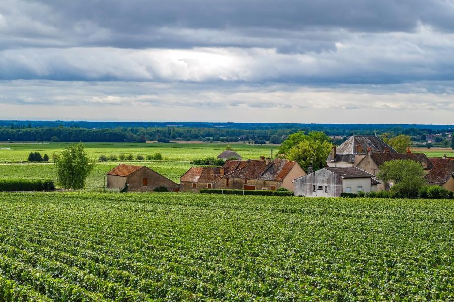 bourgogne