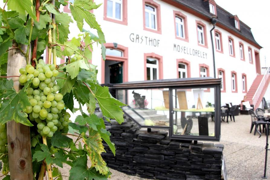 Gasthof Moselloreley