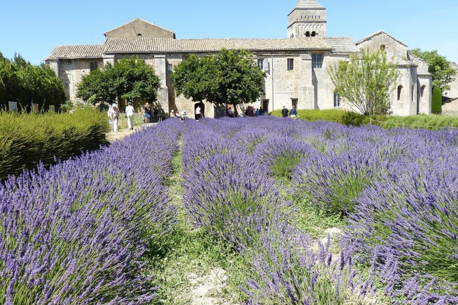 Provence Rhone