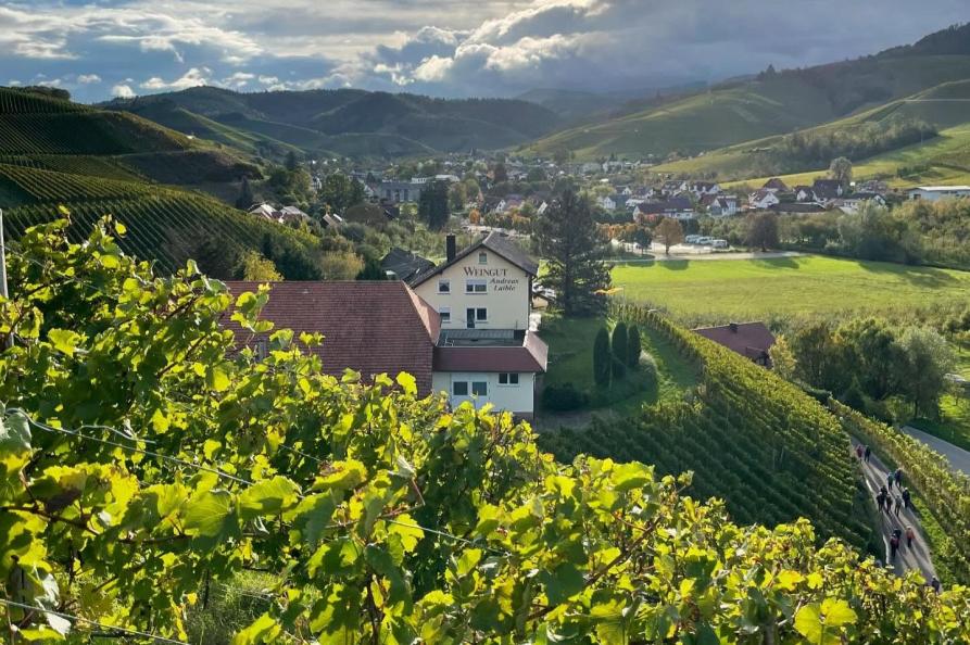 Weingut Andreas Laible in Durbach