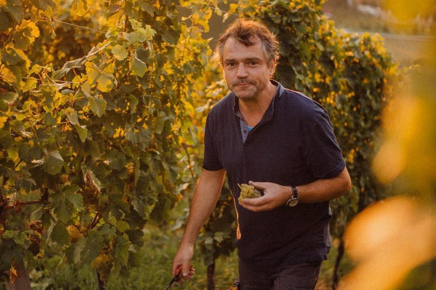 Weingut Andreas Laible in Durbach