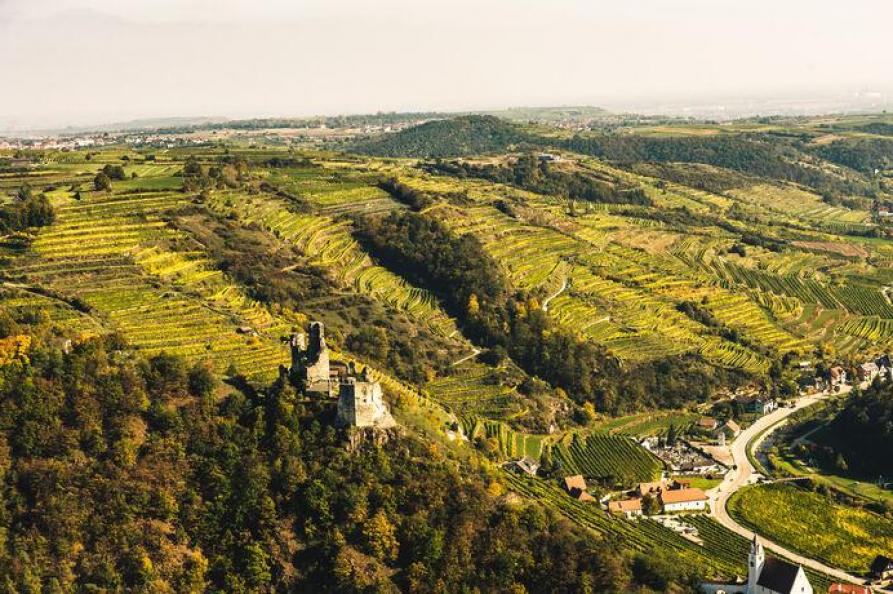 Weingut Restaurant Nigl in Senftenberg