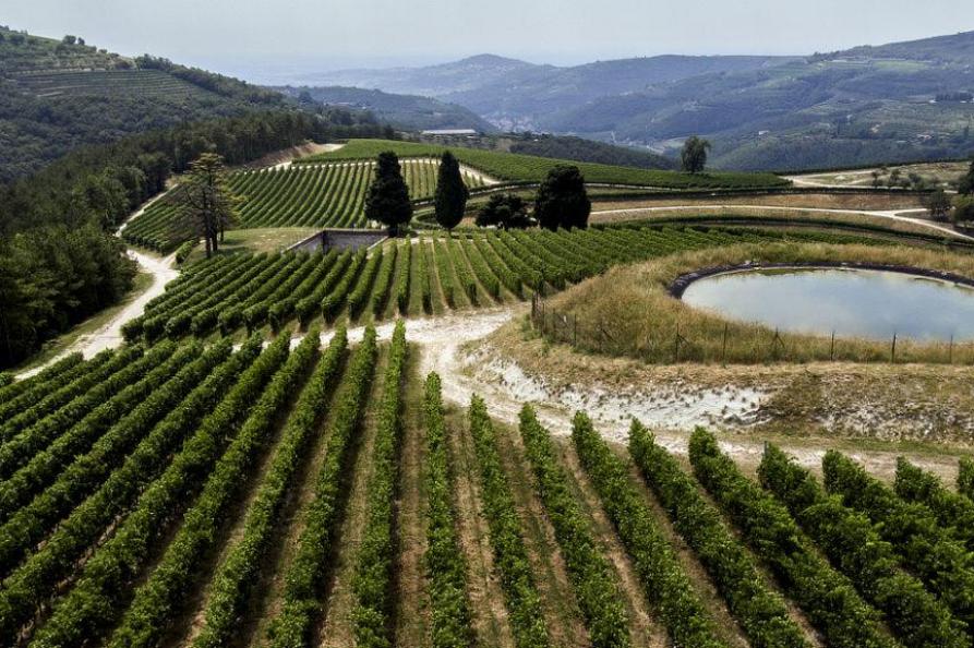 tedeschi in pedemonte di valpolicella