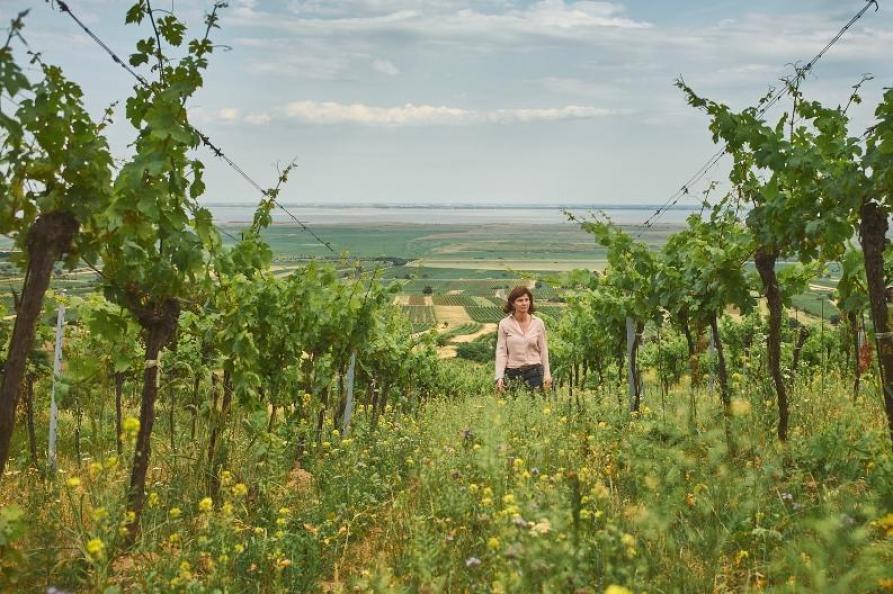 weingut birgit braunstein