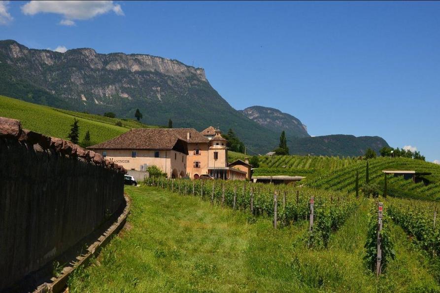 wijnhuis manincor in caldaro 