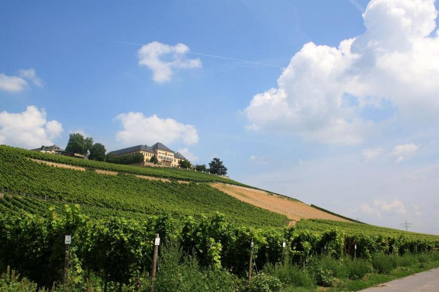Schloss Johannisberg, Rheingau