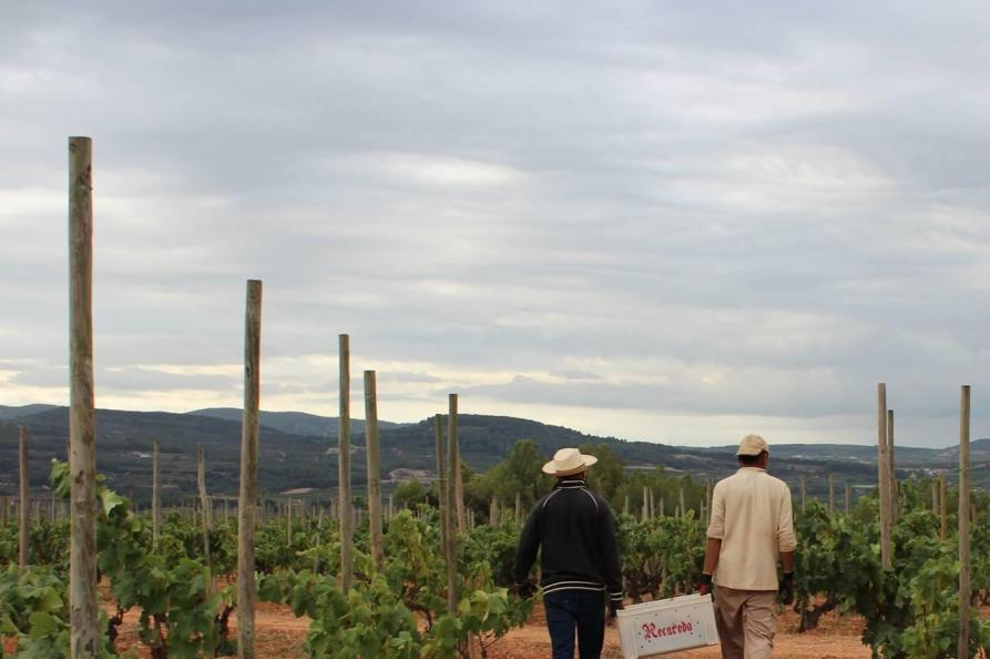 Bodegas Recaredo