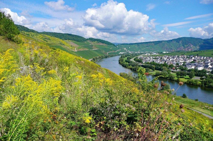 Zeltingen